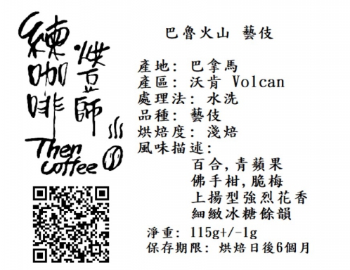 巴拿馬 巴魯火山 藝伎 淺焙